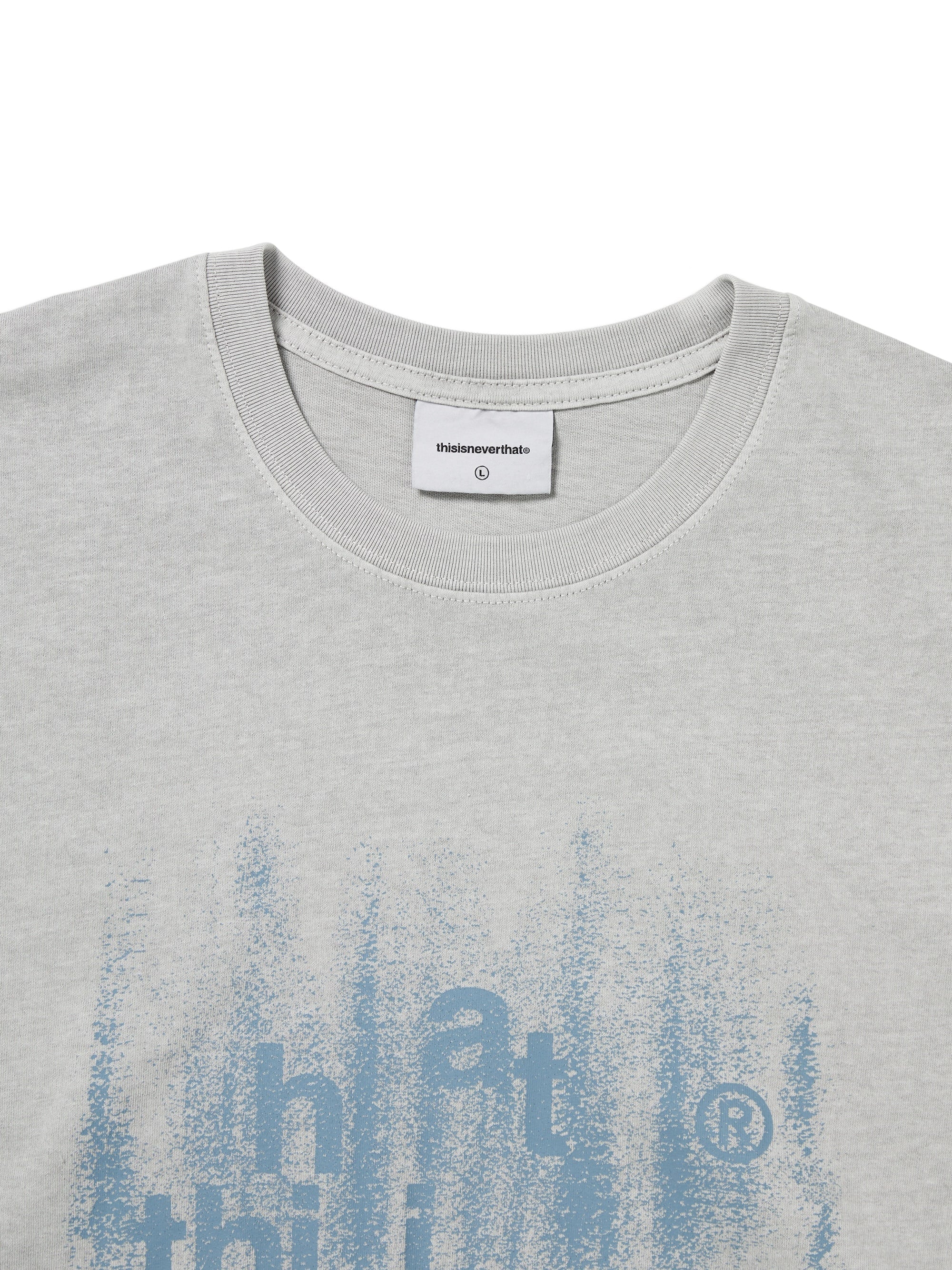 Brushed Paint Tee