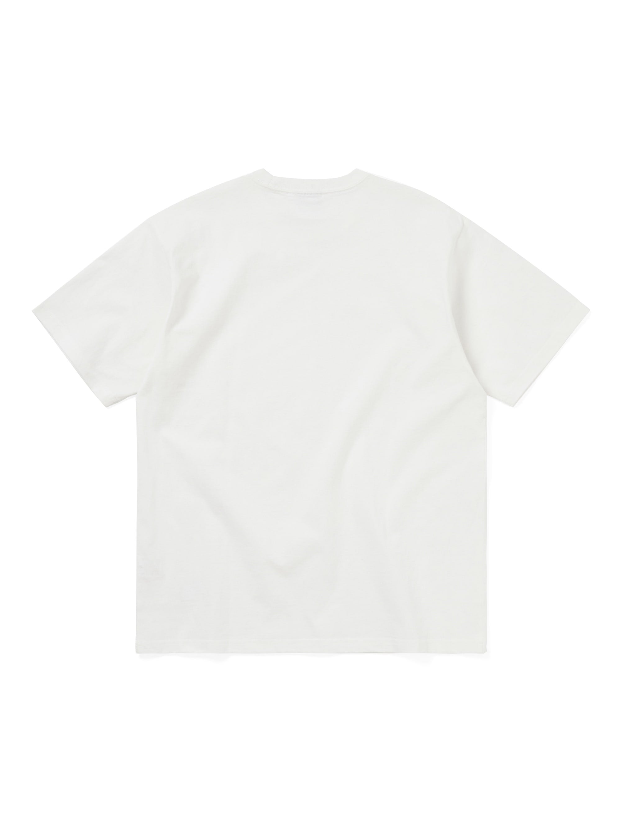TNT DICKIES® T-shirts 2 Pack
