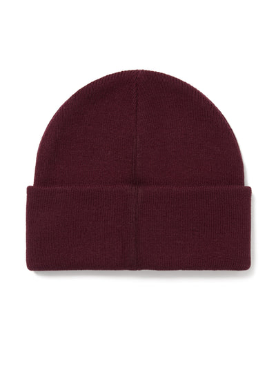 ESP-Logo Beanie