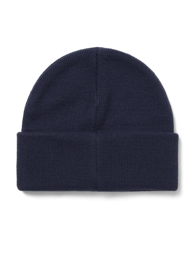 ESP-Logo Beanie