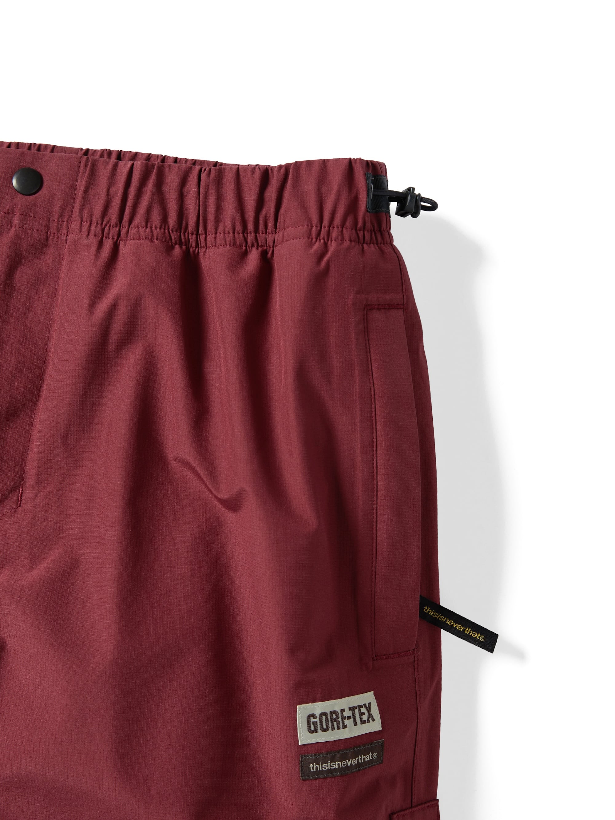 GORE-TEX 2L Cold Weather Pant