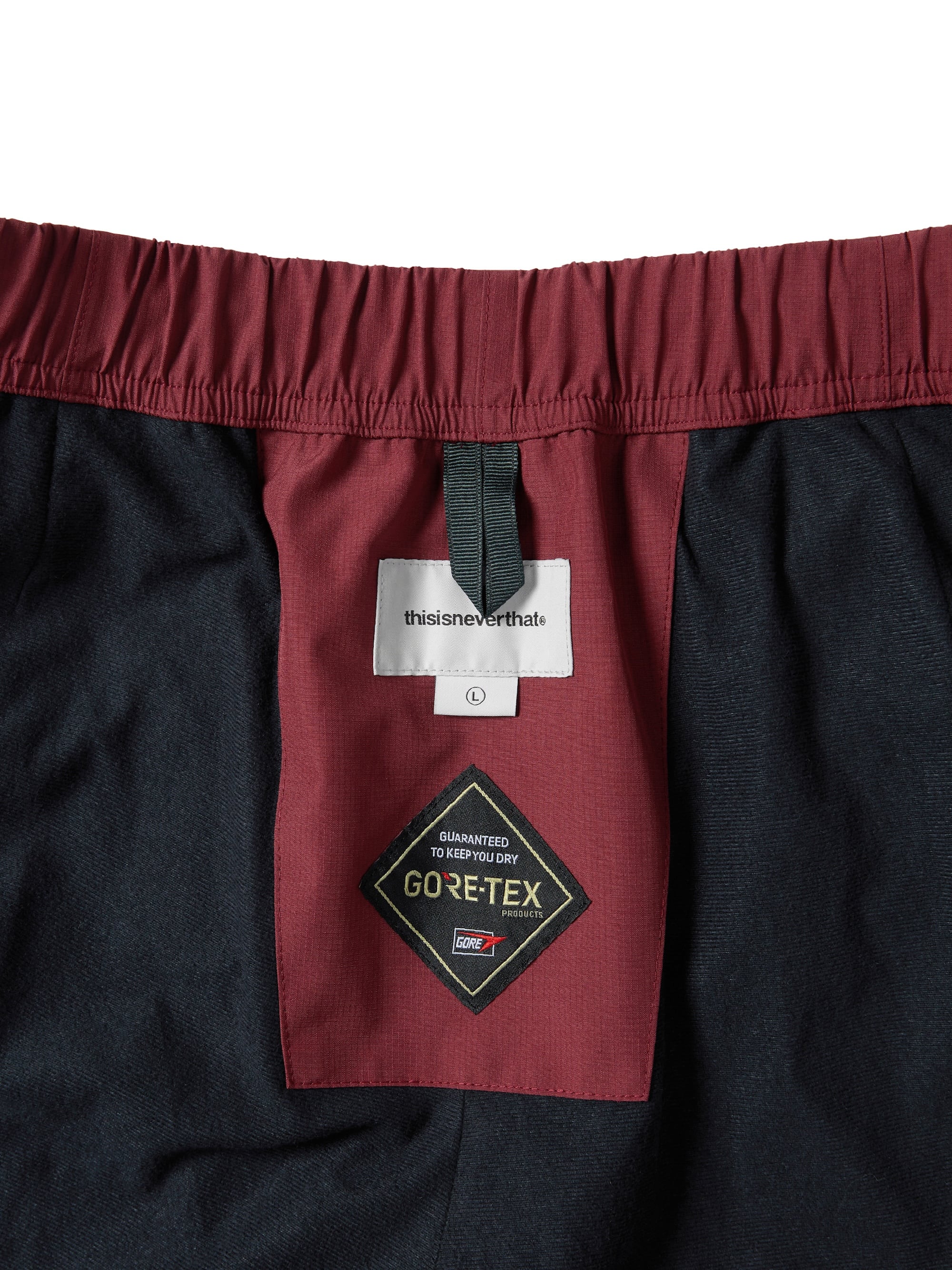 GORE-TEX 2L Cold Weather Pant