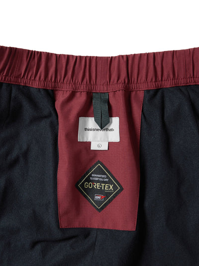 GORE-TEX 2L Cold Weather Pant