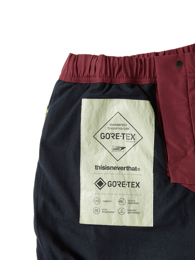 GORE-TEX 2L Cold Weather Pant