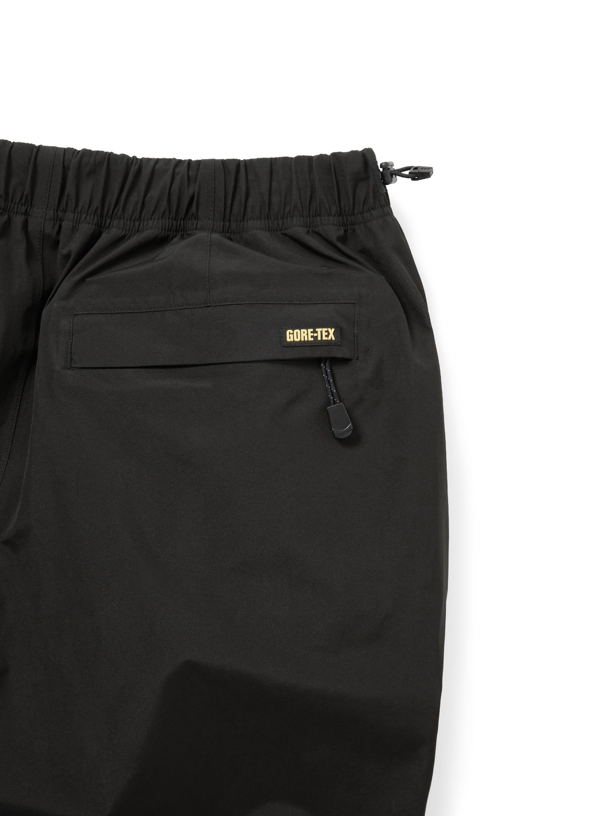 GORE-TEX 3L All Weather Pant