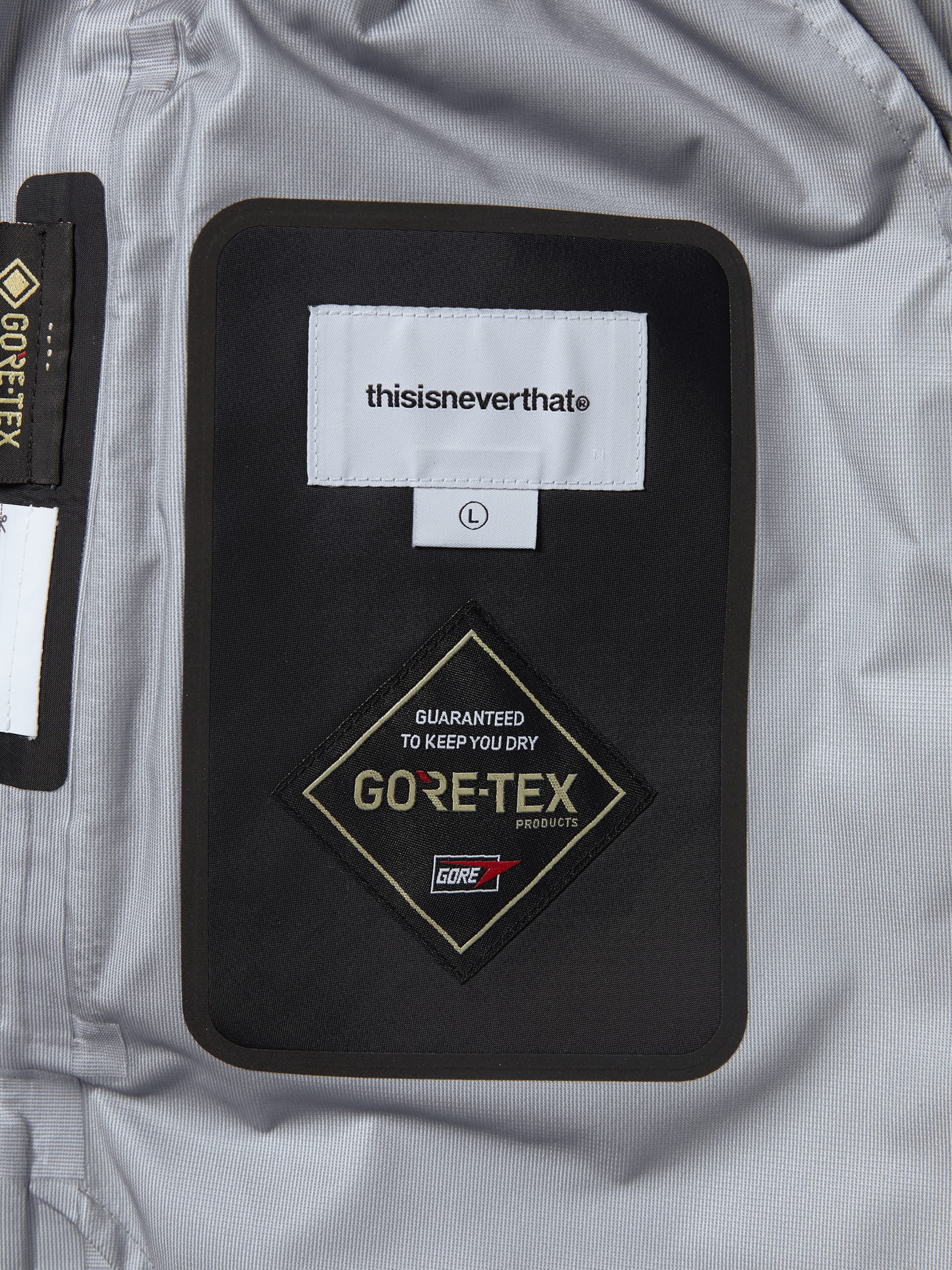 GORE-TEX 3L All Weather Pant