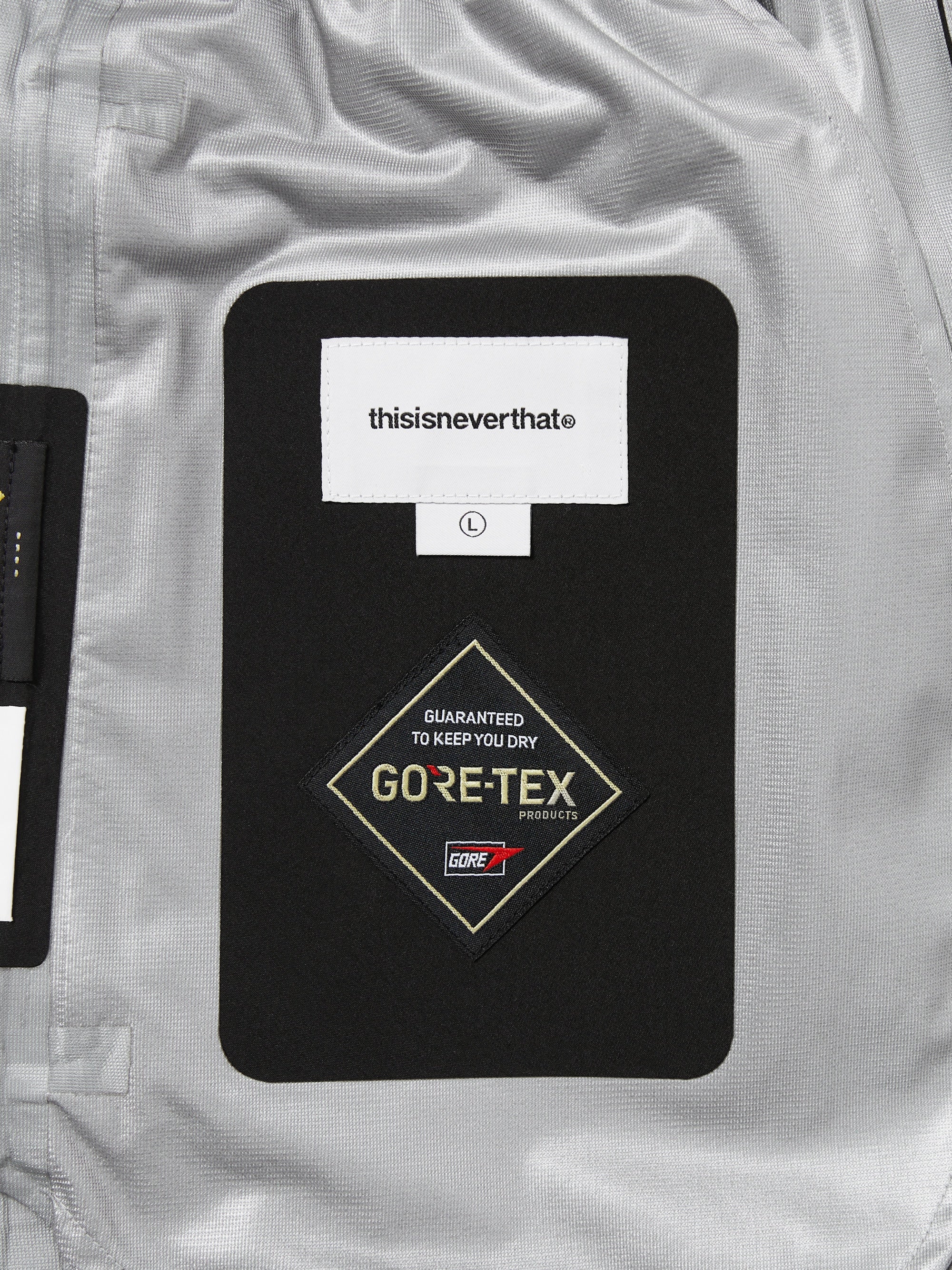 GORE-TEX 3L All Weather Pant
