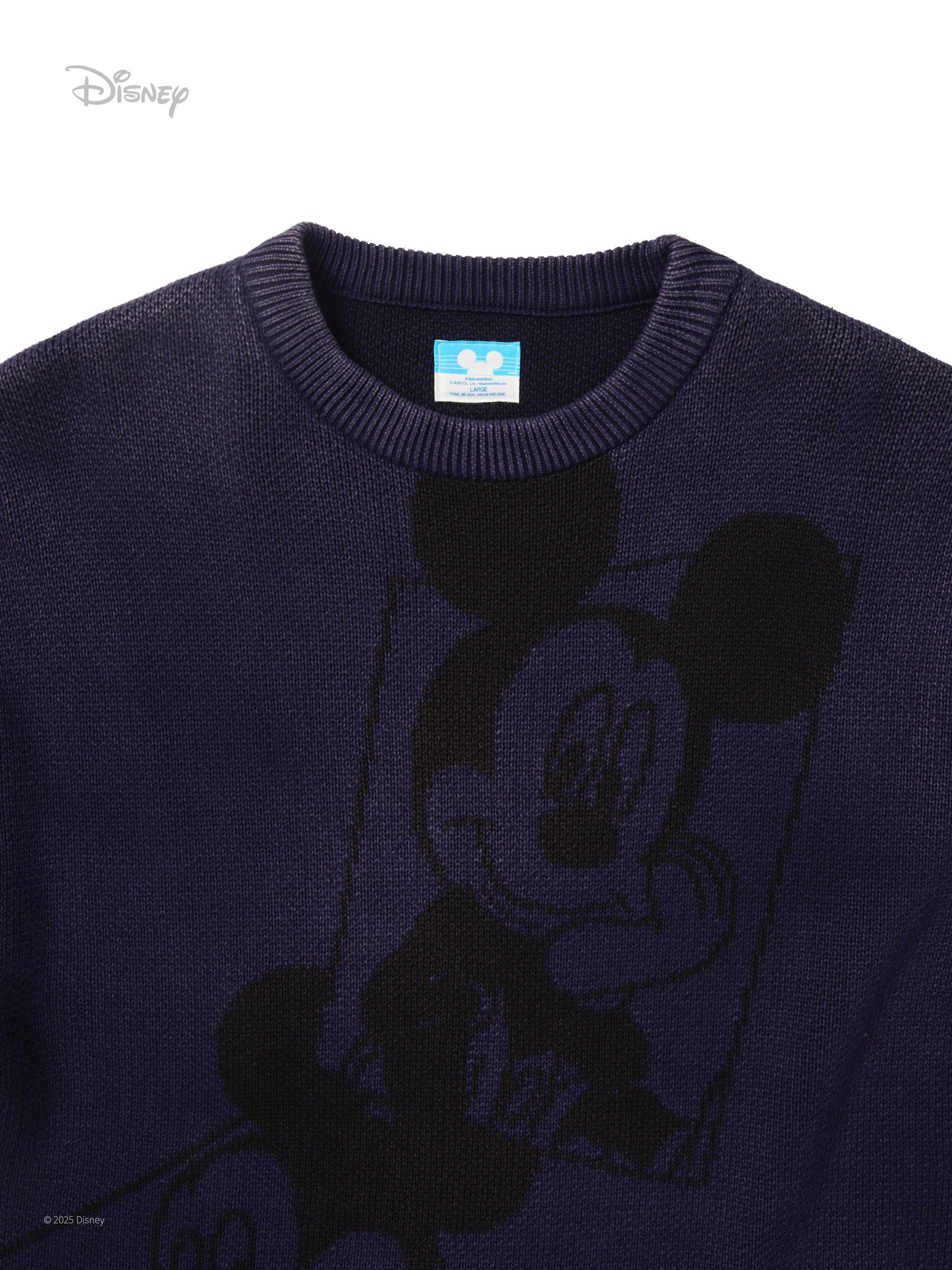 TNT_Mickey_Frame Knit