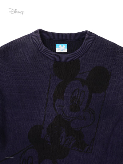 TNT_Mickey_Frame Knit
