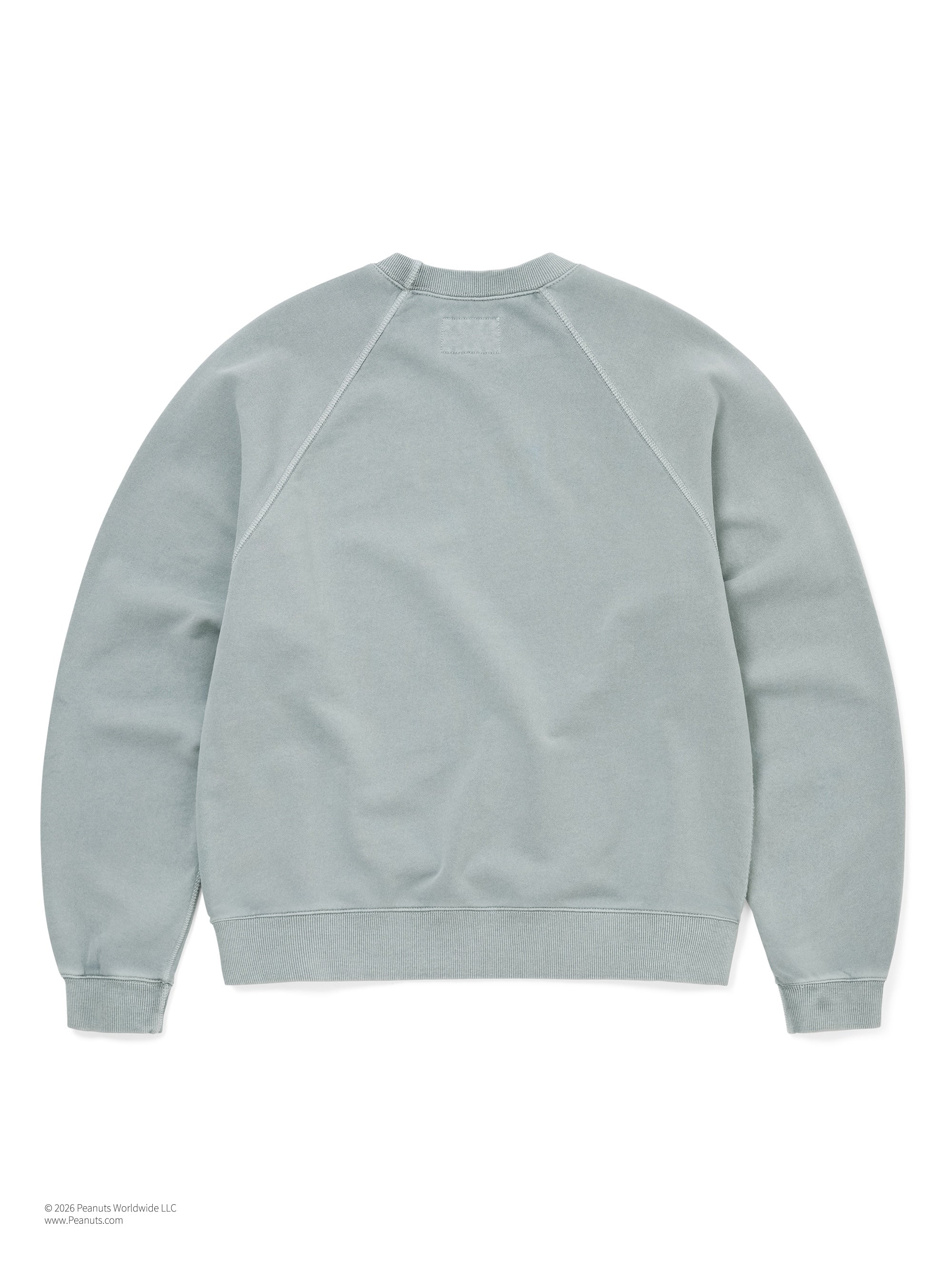 TNT PEANUTS Faded Crewneck
