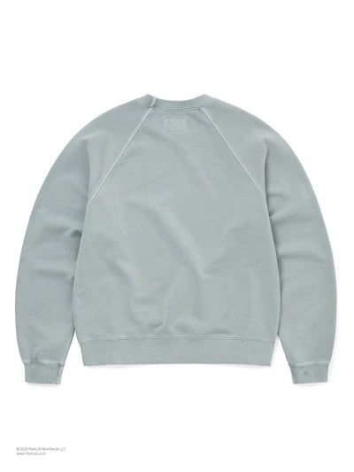 TNT PEANUTS Faded Crewneck