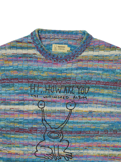 TNT Daniel Johnston Frog Knit Sweater