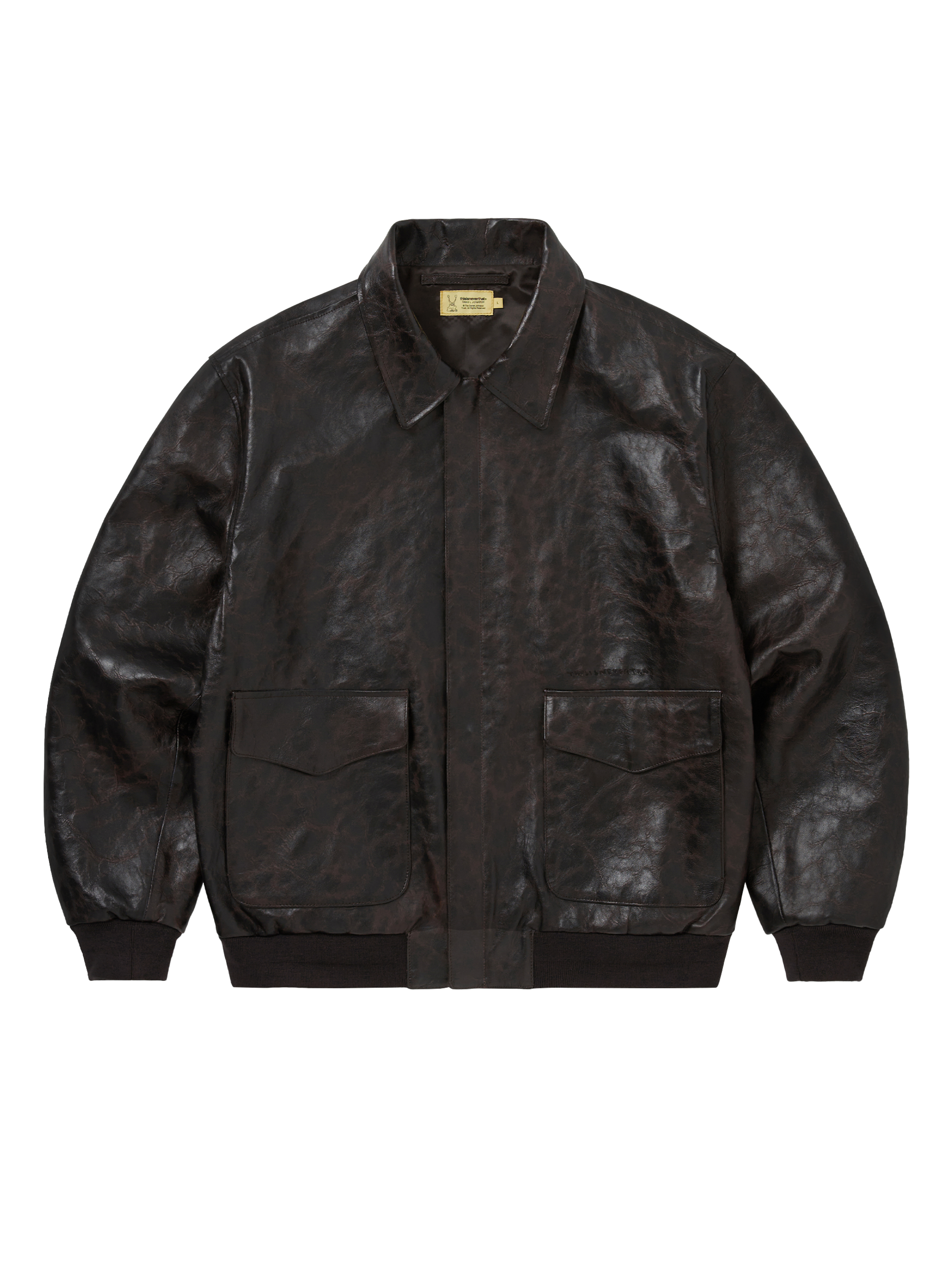 TNT Daniel Johnston Frogs Leather Flight Jacket