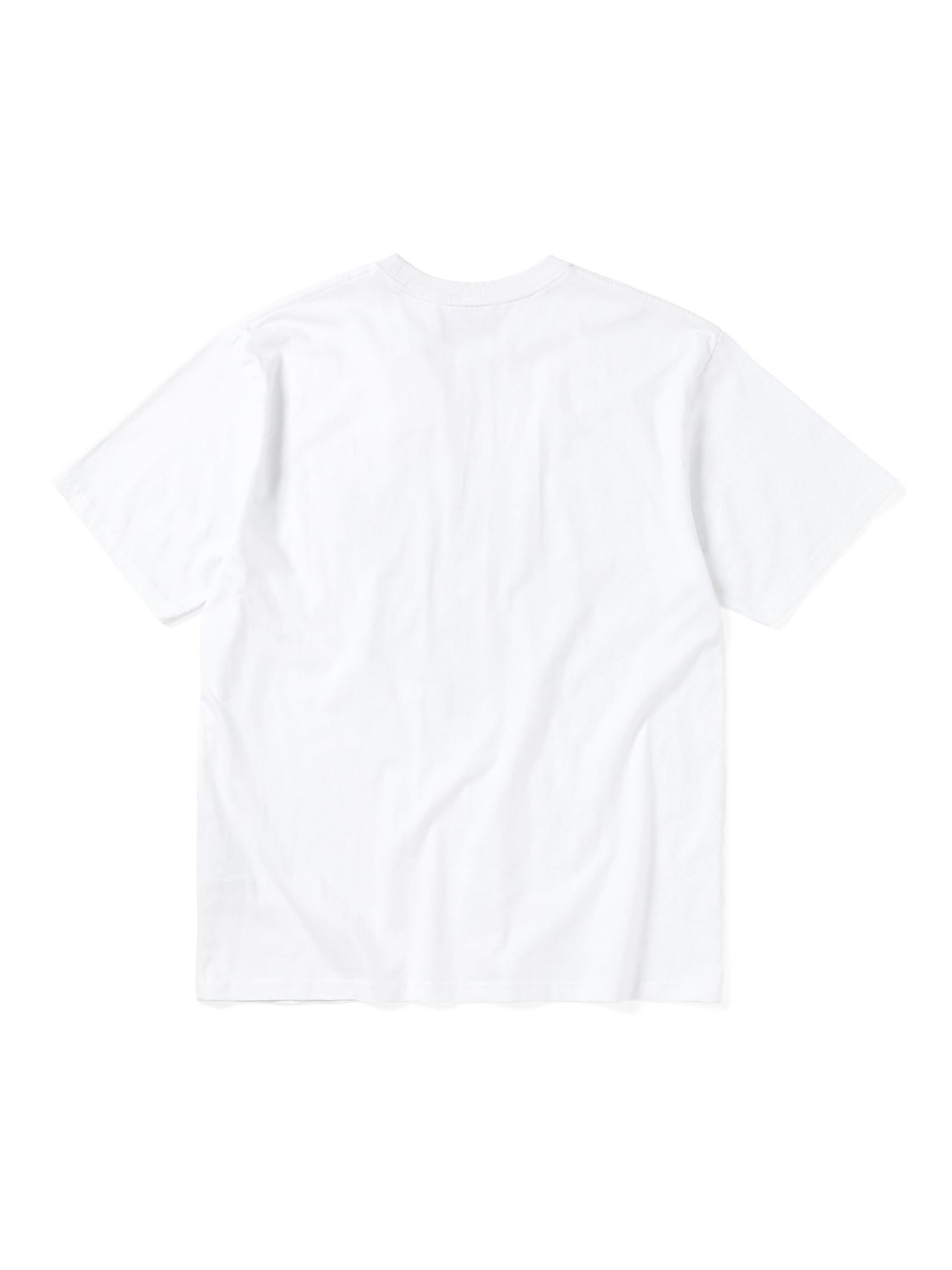 Brushed Paint Tee