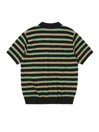 Striped Knit Polo